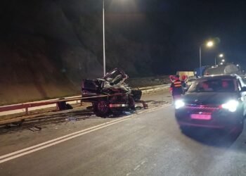 საშინელება ხდება – რა დეტალები ხდება ცნობილი რიკოთის ავარიაზე