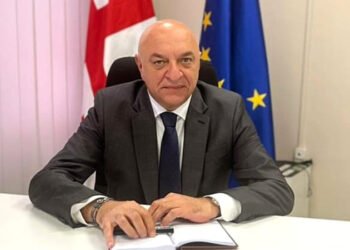 თორნიკე რიჟვაძის საქმეზე, ცეცხლსასროლი იარაღის დაუდევრად შენახვისთვის, ბრალდებულის სახით ალექსი ახვლედიანია დაკავებული
