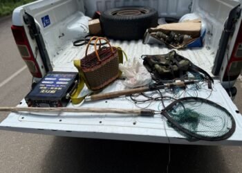 იმერეთსა და შიდა ქართლში უკანონო თევზჭერის ფაქტები გამოვლინდა გამოავლინეს