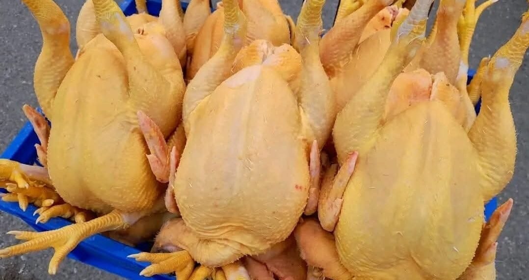 ყვითლად შეღებილი ქათამი – რა ხდება ქართულ ბაზარზე