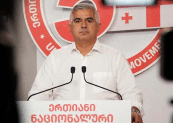 “გორის საკრებულოს თავმჯდომარემ გააჟღერა „ოცნების“ რუსული ნარატივი” – გიორგი ბოტკოველი