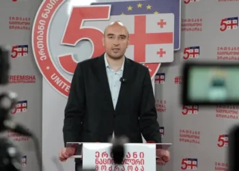 ძალიან კარგად იცის საერთაშორისო სამართალი კობახიძემ და კარგად იცის, რომ ქვეყანას ღალატობს და ქვეყნის ინტერესებს უკანა პლანზე აყენებს – ირაკლი ფავლენიშვილი