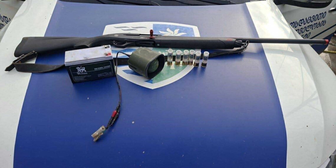 იმერეთში უკანონო ნადირობის 48 ფაქტი დაფიქსირდა