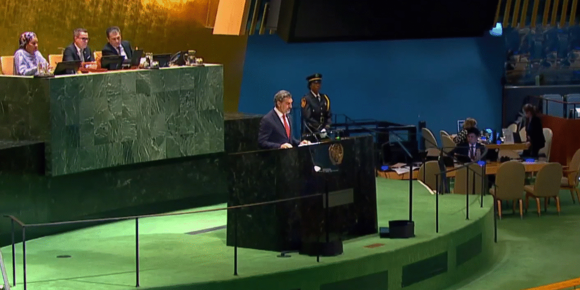 ყაველაშვილის სიტყვით გამოსვლა გაერო-ს გენერალური ასამბლეის მე-80 სესიაზე