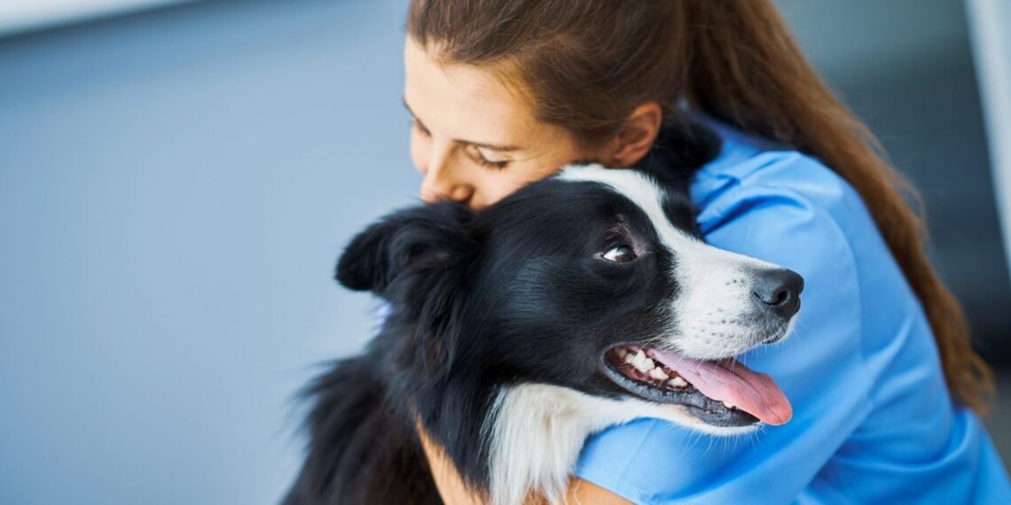 სესი შინაური და მიკედლებული ცხოველების უფასო ვაქცინაციას გეგმავს