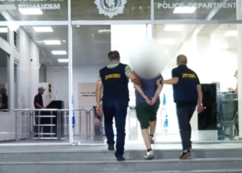 ნარკოდანაშაულის ბრალდებით ერთი პირი დააკავეს