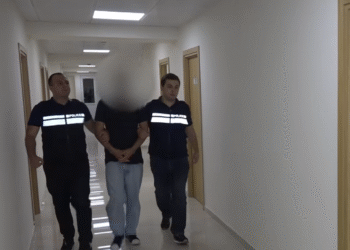 ყალბი დოკუმენტის დამზადება-გასაღების ბრალდებით ერთი პირი დააკავეს