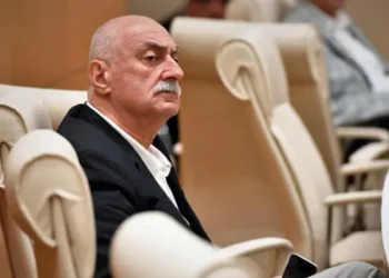 “ახლა ზე­მოთ გა­ვი­ხე­დე და პრე­სა არ ზის, არ არი­ან! აქ რომ სხვა ინ­ტრი­გა იყოს, ნემ­სის ჩა­სა­ვარ­დნი ად­გი­ლი არ იქ­ნე­ბო­და “-  ლადო კა­ხა­ძე