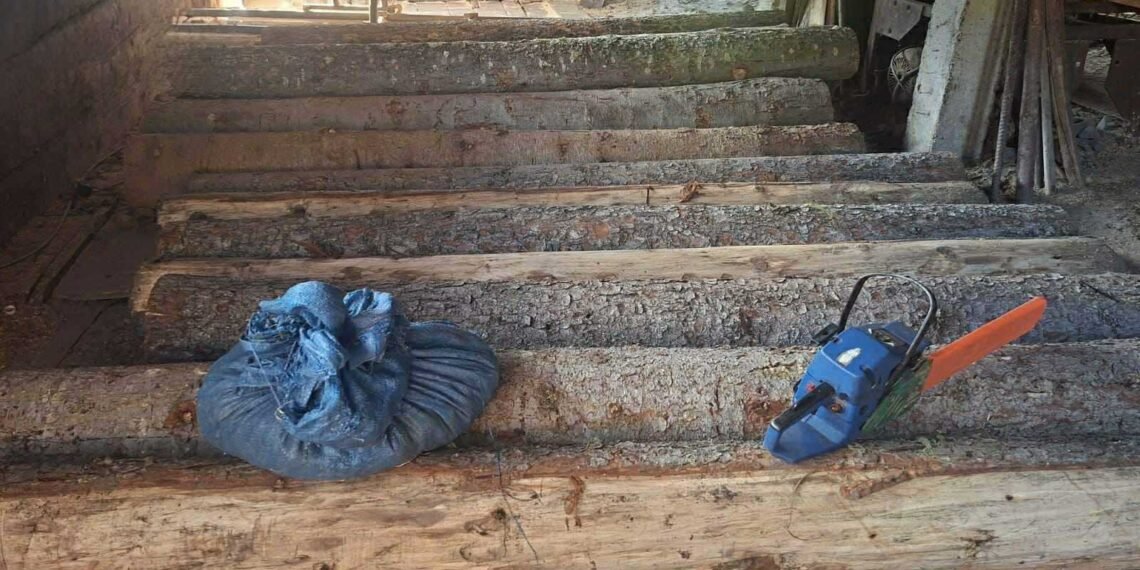 იმერეთში ხე-ტყის უკანონო მოპოვების ფაქტი გამოვლინდა