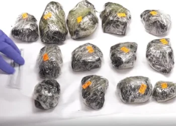 ნარკოდანაშაულის ბრალდებით 4 პირი დააკავეს