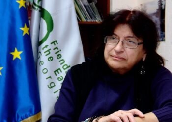 “ძალიან უცნაური მეწყერია, სამწუხაროდ არ ვიცით რა შეცდომები დაუშვეს სარკინიგზო გვირაბების მშენებლობის დროს”- ნინო ჩხობაძე
