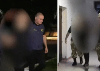 სახელმწიფო საზღვრის უკანონოდ გადმოკვეთისა და გადაკვეთის მცდელობის ფაქტზე 3 პირი დააკავეს