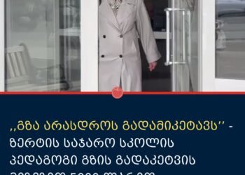 სკოლის პედაგოგი 5000 ლარით დააჯარიმეს