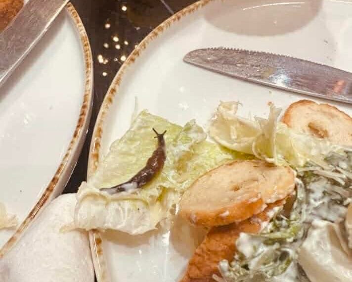 გასართობი ცენტრის საკვებში მომხმარებელმა ცოცხალი ლოკოკინა აღმოაჩინა