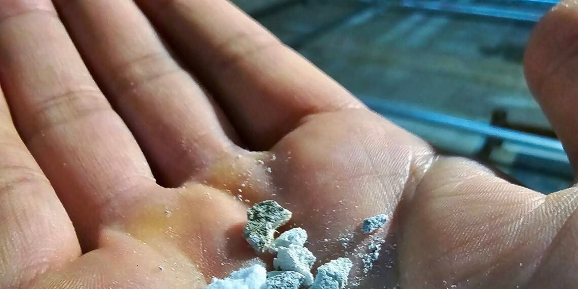 გელათში დაზინაბების პროცესი გრძელდება  – რას წერს თორნიკე ბარათაშვილი