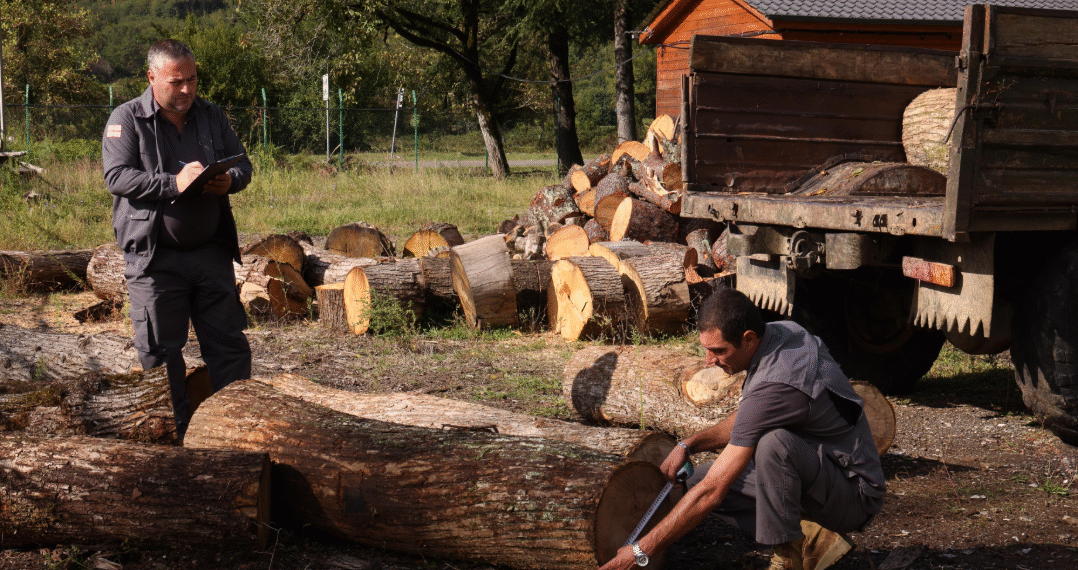 სოფელ გორდში ხე-ტყის უკანონო მოპოვებისა და ტრანსპორტირების ფაქტი გამოავლინეს