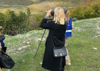 ეუთოს მოქმედი თავმჯდომარე, ფინეთის საგარეო საქმეთა მინისტრი ელინა ვალტონენი საოკუპაციო ხაზთან ჩავიდა