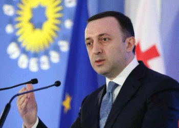 ირაკლი ღარიბაშვილმა დანაშაული აღიარა