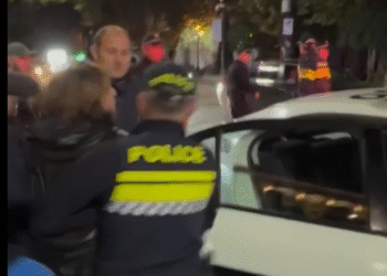 საზოგადოებრივი მაუწყებლის სამეურვეო საბჭოს წევრი ლიკა ბასილაია-შავგულიძე დააკავეს