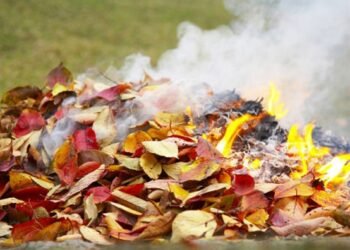 ფოთლების დაწვა სახიფათო და დასჯადია