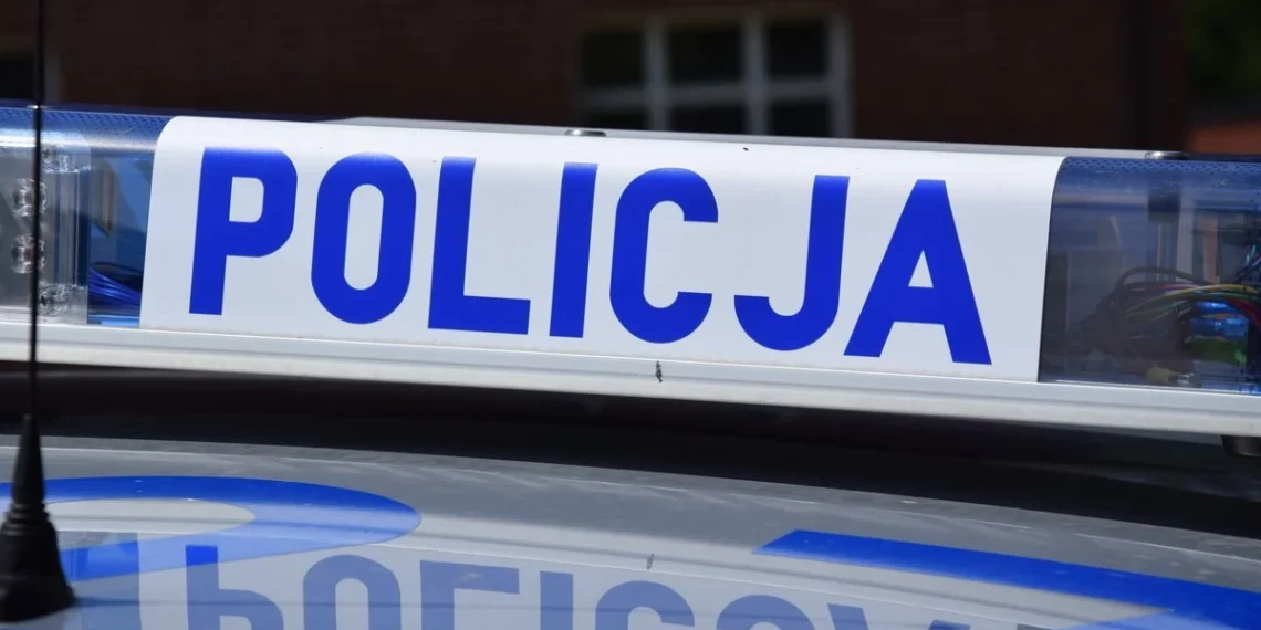 პოლონეთში ორი ადამიანის ცემის ფაქტზე საქართველოს მოქალაქე დააკავეს