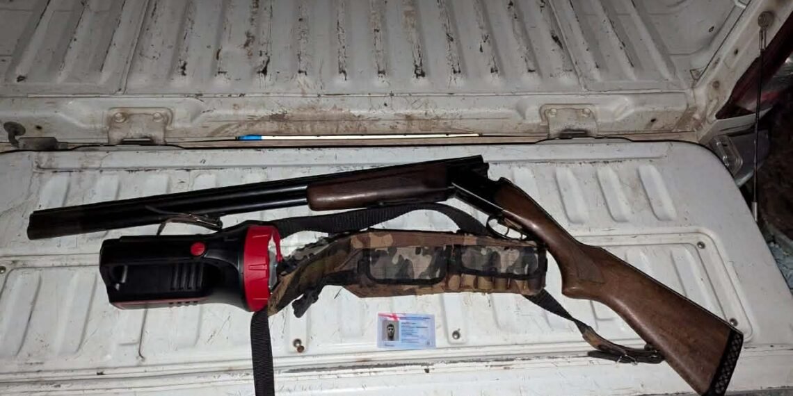 გამოვლინდა ბრაკონიერობის ფაქტები