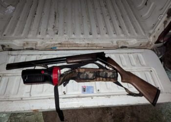 გამოვლინდა ბრაკონიერობის ფაქტები