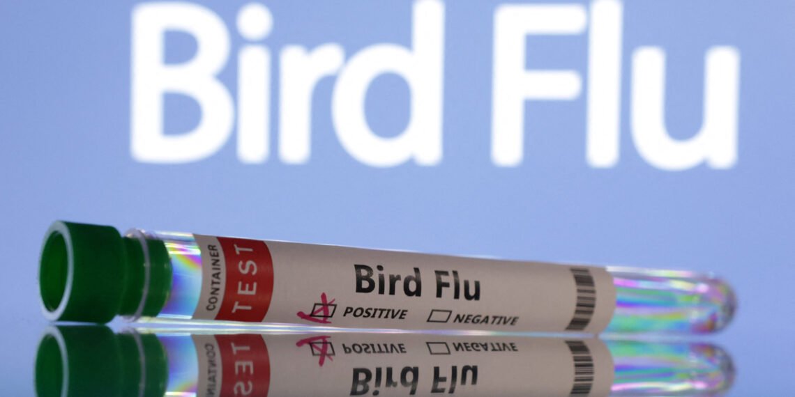 დაფიქსირდა პირველად ადამიანის H5N5 შტამის ფრინველის გრიპით გარდაცვალების შემთხვევა