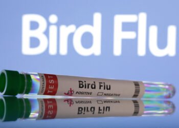 Test tubes are seen labelled "Bird Flu" words in this illustration taken, June 10, 2024. REUTERS/Dado Ruvic/Illustration