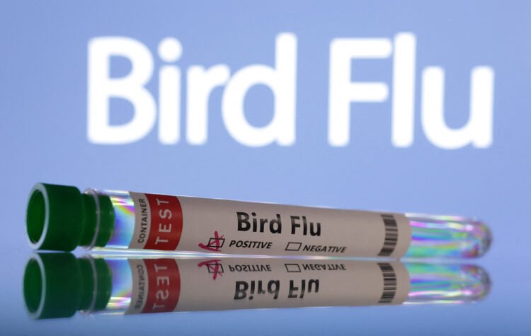 Test tubes are seen labelled "Bird Flu" words in this illustration taken, June 10, 2024. REUTERS/Dado Ruvic/Illustration
