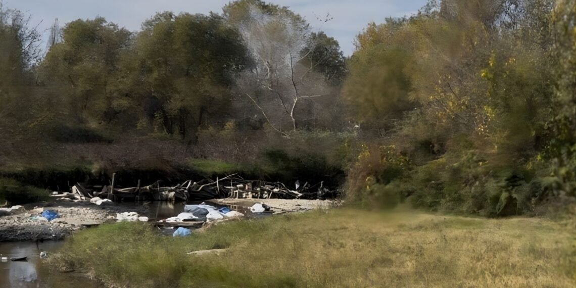 ტყეში იარაღით მოკლული პირის ცხედარი იპოვეს