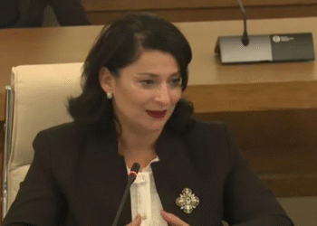 ” ყველა მნიშვნელოვან ძეგლს დიდი გასაჭირი აქვს” – კულტურული მემკვიდრეობის დაცვის სააგენტოს ხელმძღვანელი