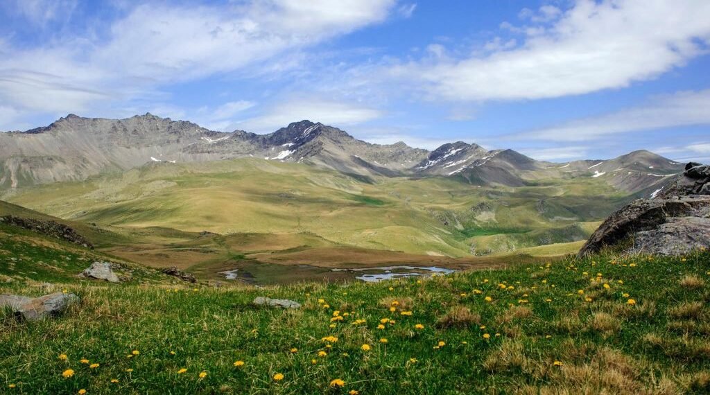 დაცულ ტერიტორიაზე მოკლულია „წითელი ნუსხის“ სახეობა