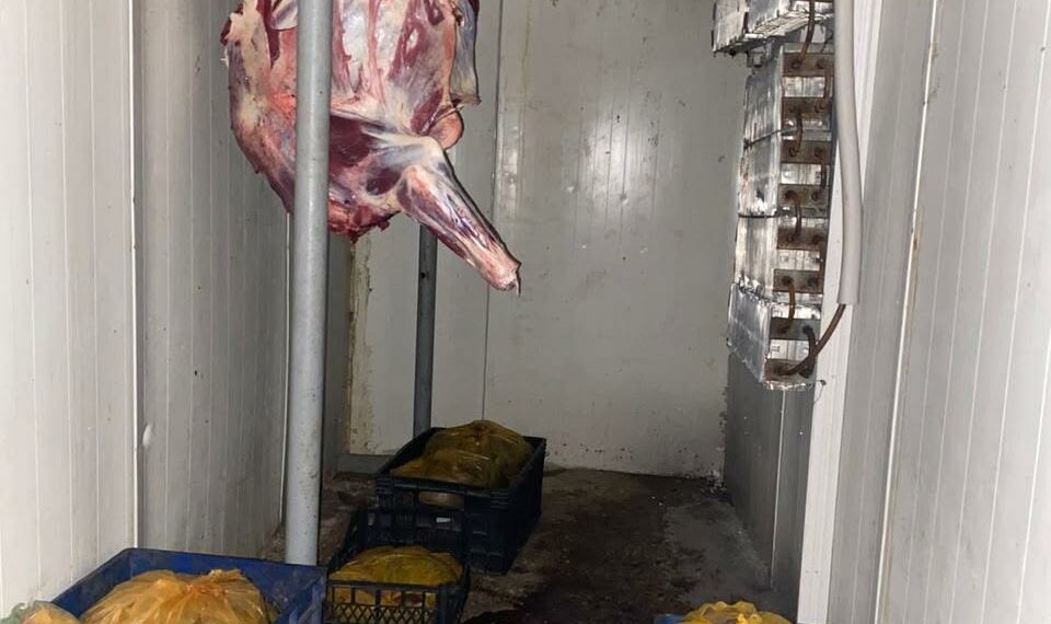 თბილისში ზესტაფონსა და ვანში არალეგალური სასაკლაოები გამოავლინდა