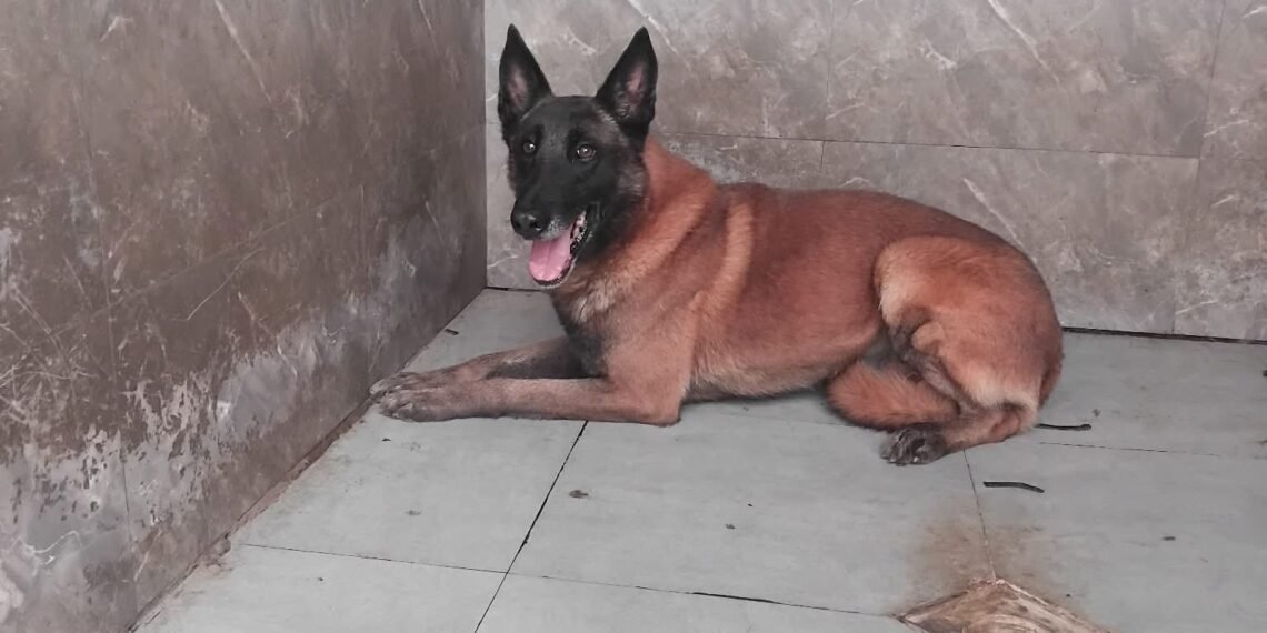 გადაყარეს როგორც უსარგებლო ნივთები!!!-მოქალაქე შსს-ს გადაწყვეტილებას  ეხმაურება