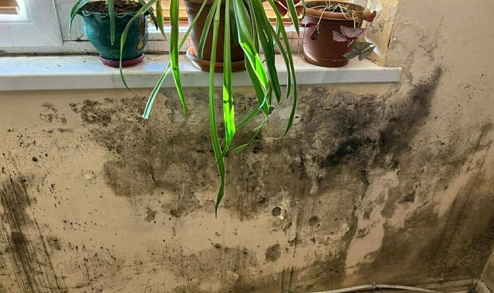 “დაობებულ, დამპალ კედლებში მყავს ბავშვები” – წყალტუბოში ახლად აშენებული დევნილების ბინების მდგომარეობა