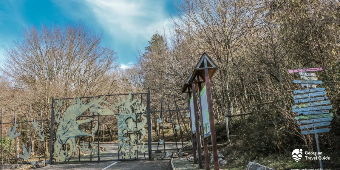 სათაფლიის მღვიმის აღმოჩენიდან 100 წელი გავიდა