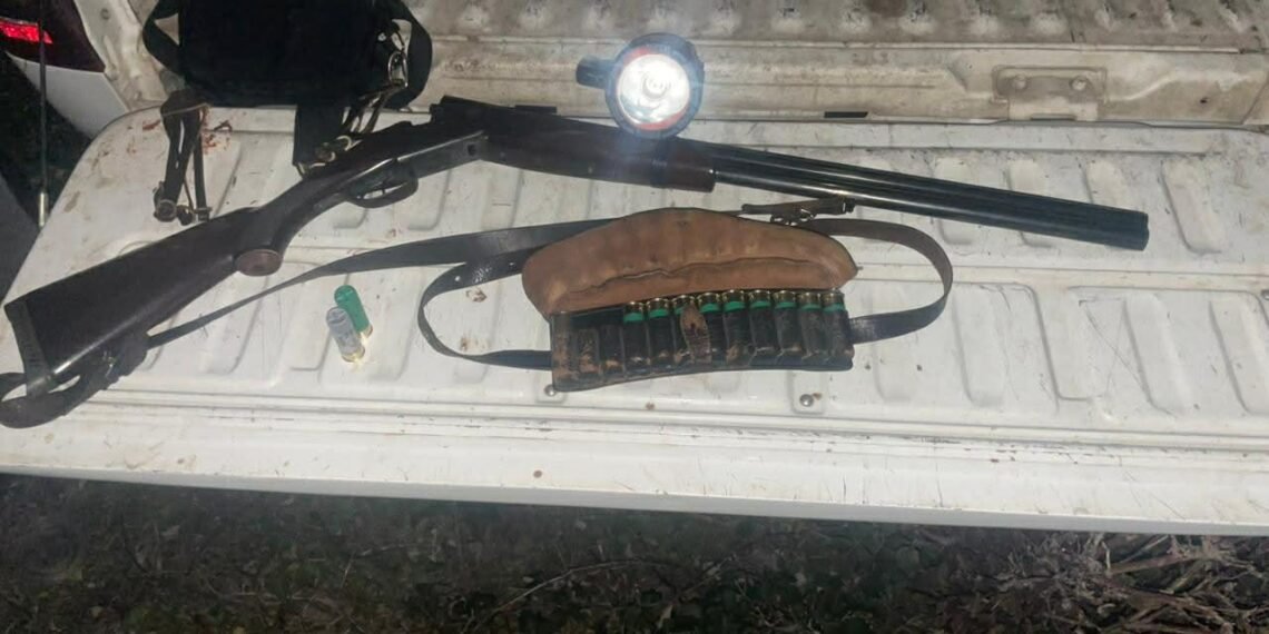 უკანონო ნადირობის 818 ფაქტი გამოვლინდა