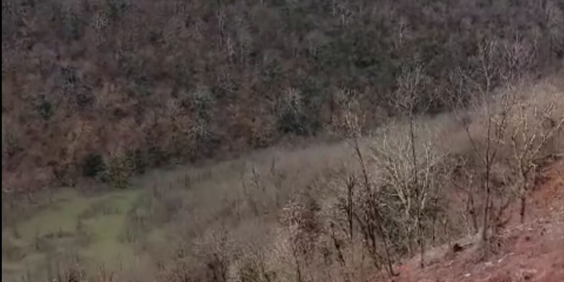 მდინარე ჩაკეტა მთის ფერდობიდან ჩასულმა მიწამ- მდგომარეობა ხარაგაულში