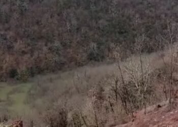 მდინარე ჩაკეტა მთის ფერდობიდან ჩასულმა მიწამ- მდგომარეობა ხარაგაულში