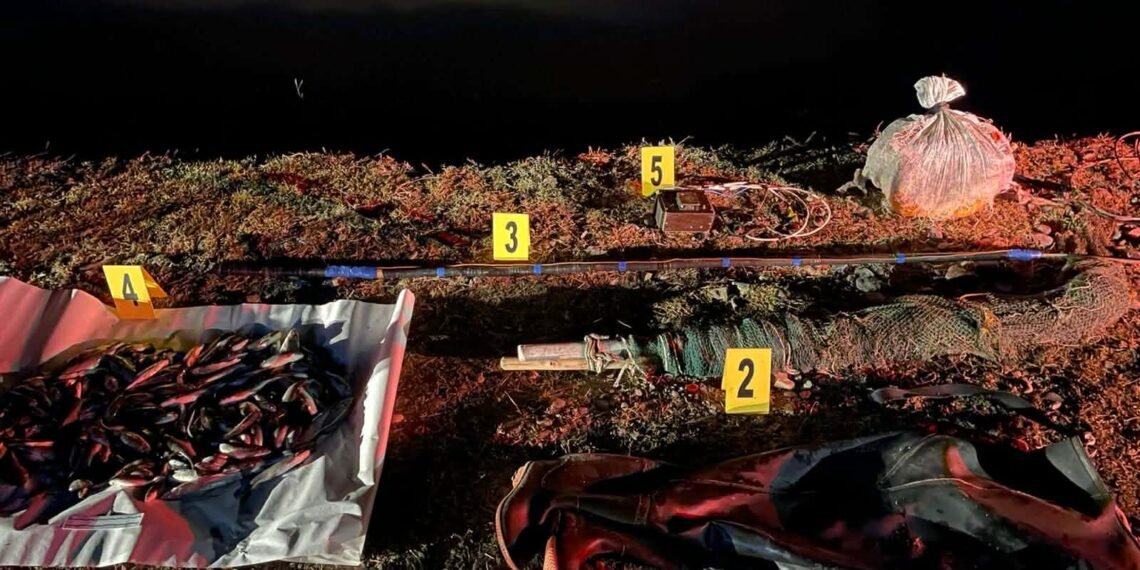 2025 წელს იმერეთში უკანონო თევზჭერის 117 ფაქტი გამოვლინდა