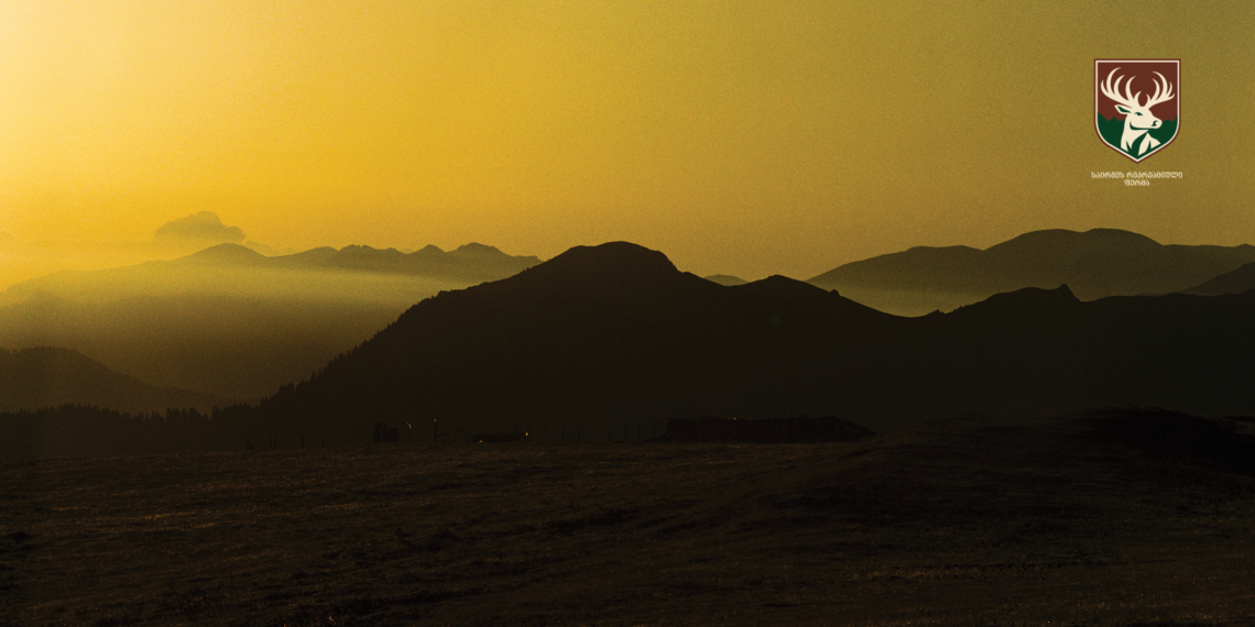 ფირის ფოტოგრაფია „საირმეს რეკრეაციულ ფერმაში“ – რეზი ყენიას ფოტოამბავი