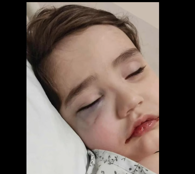 პატარა დაჩის საზოგადოების დახმარება სჭირდება