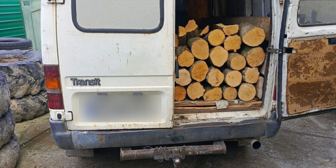 იმერეთსა და სხვა რეგიონებში ხე-ტყის უკანონო მოპოვება-ტრანსპორტირების ფაქტები გამოვლინდა