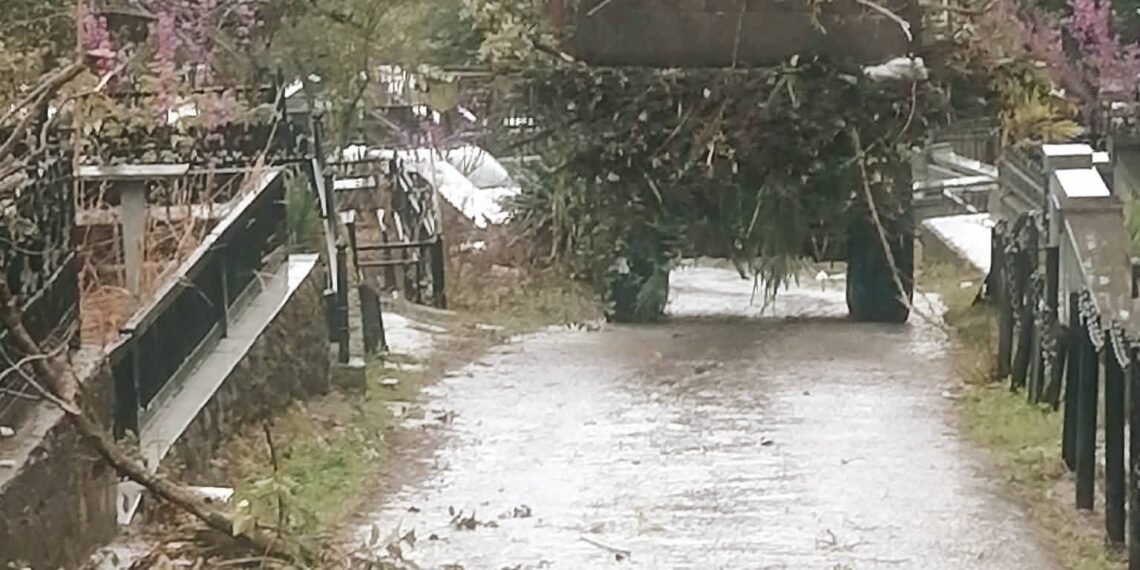 სასაფლაო