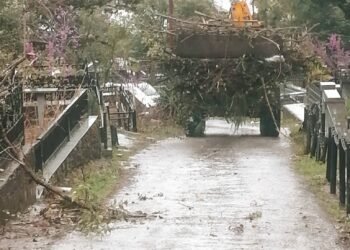 სასაფლაო