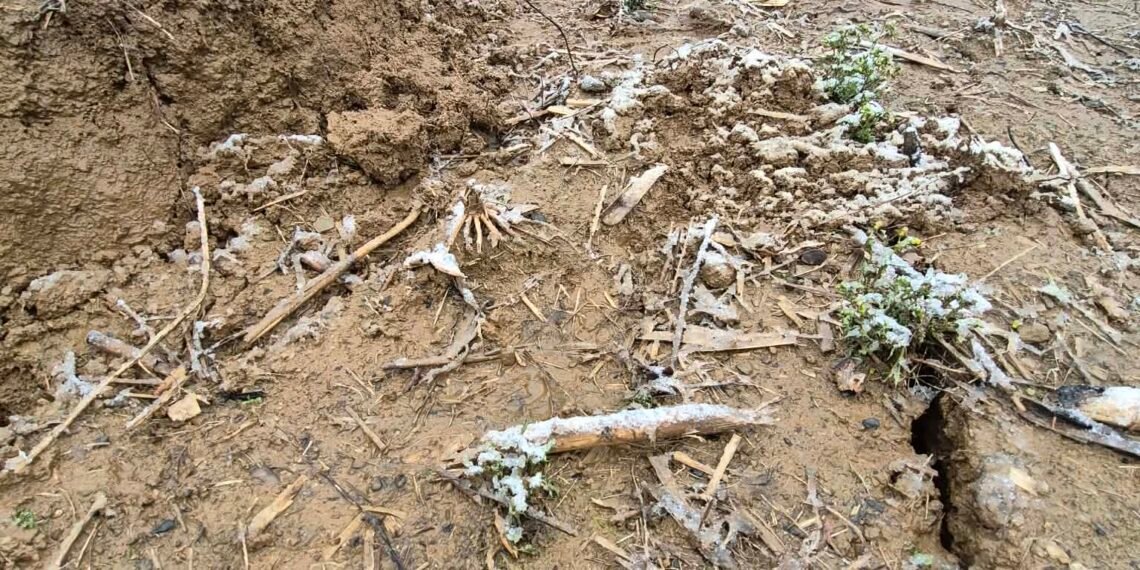 მოიცდის კი ბუნება ამდენს? – ბუეთში მოსახლეობა დახმარებას ითხოვს