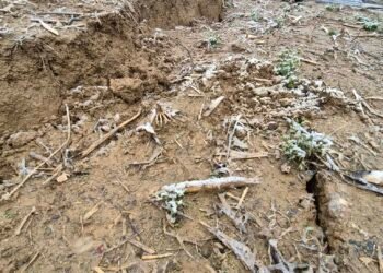 მოიცდის კი ბუნება ამდენს? – ბუეთში მოსახლეობა დახმარებას ითხოვს