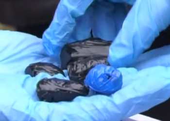 იმერეთის პოლიციამ განსაკუთრებით დიდი ოდენობით ნარკოტიკი ამოიღო