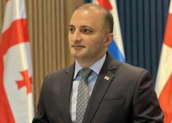 აჭარის უმაღლესი საბჭოს თავმჯდომარემ დავით გაბაიძემ თანამდებობა დატოვა